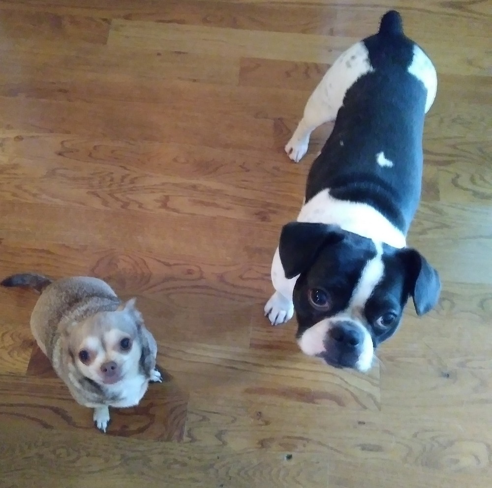 Meet your Posher, Claudyne